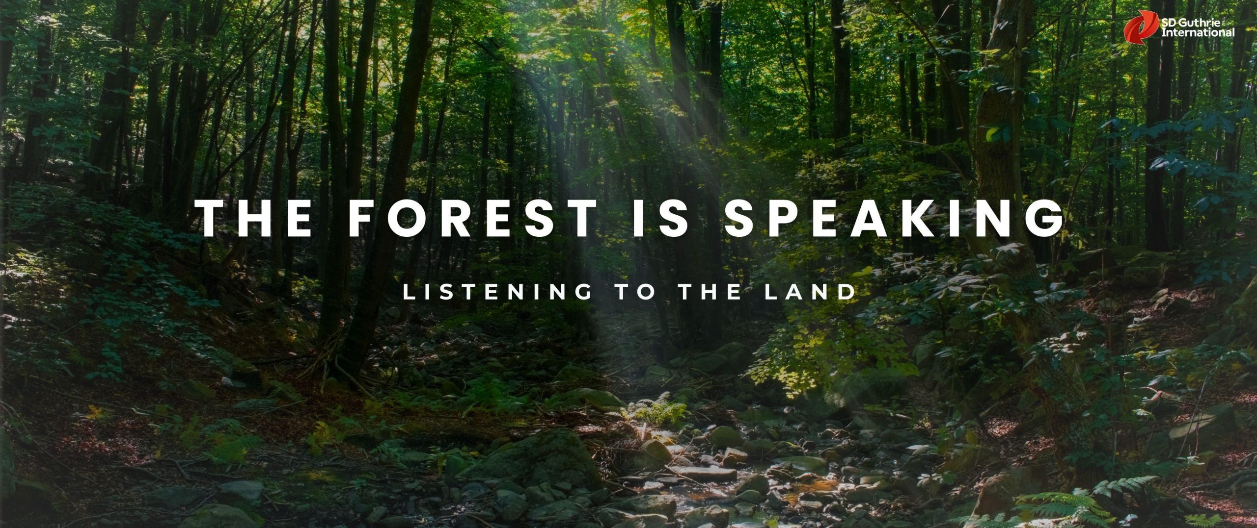 Forests Wildlife and a Bigger Purpose