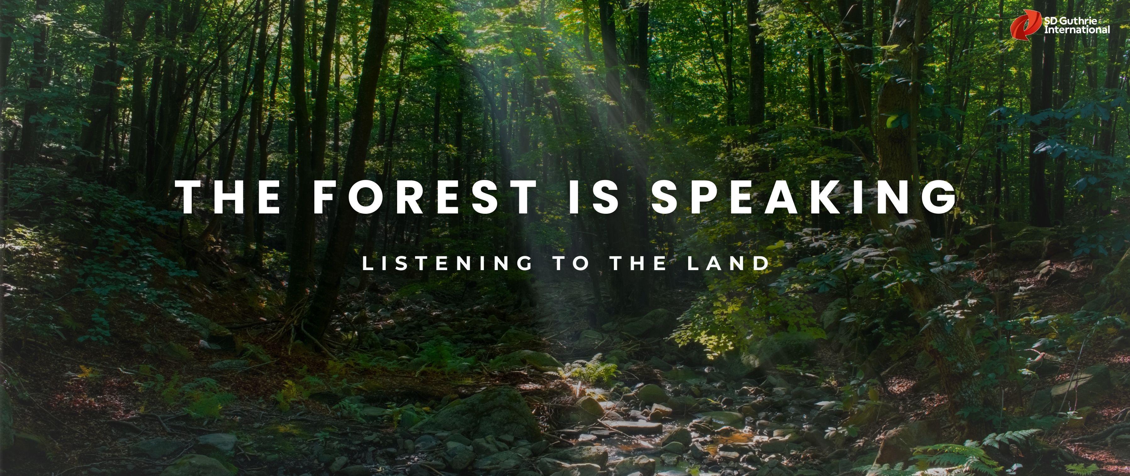 Forests Wildlife and a Bigger Purpose