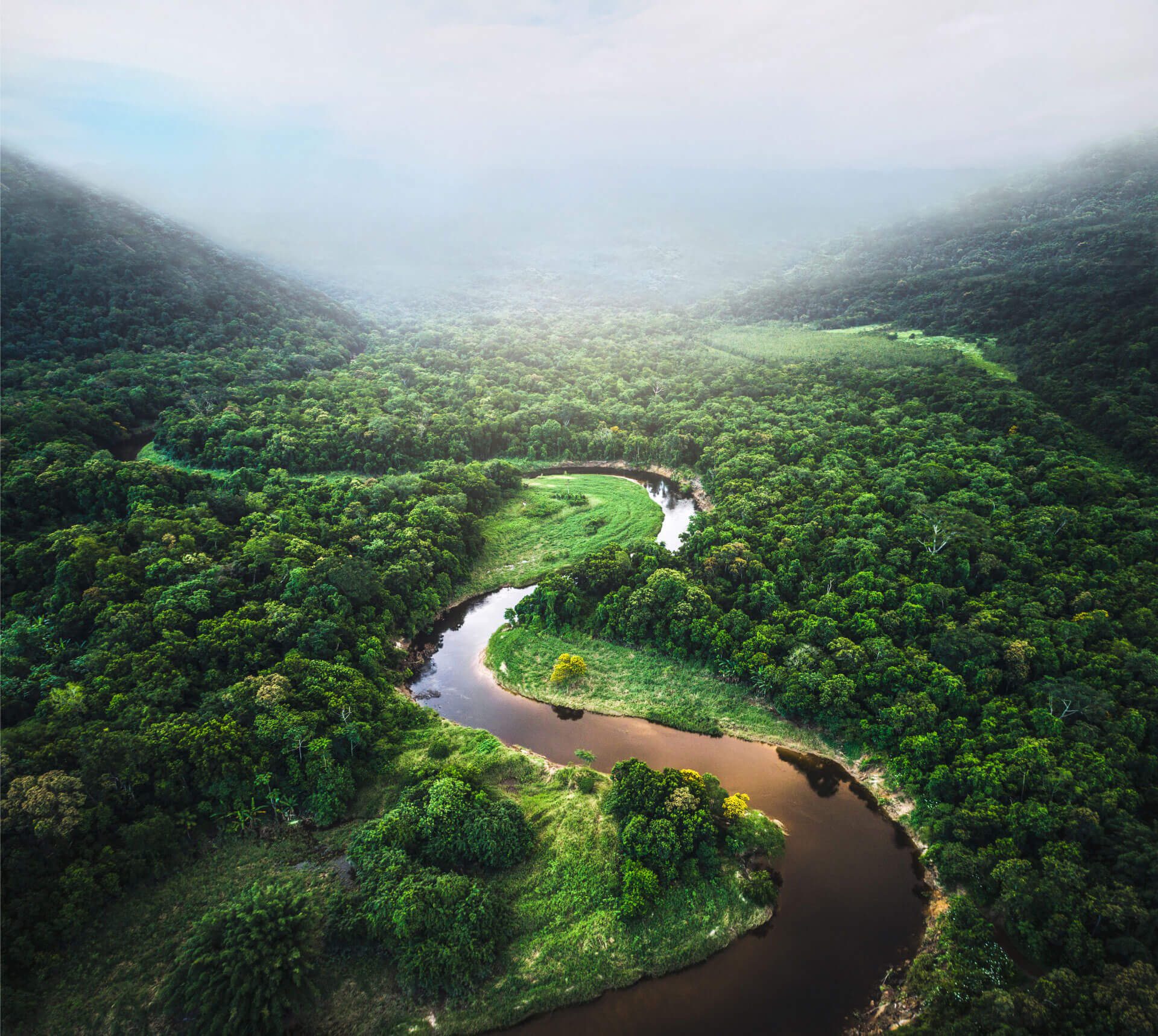 Sustainability