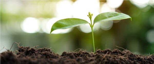 Sustainability