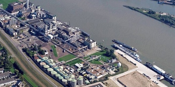 Sdo zwijndrecht