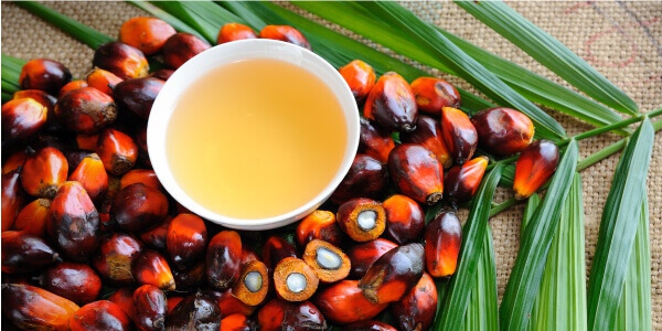 Palm olein